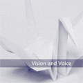 GSI's Vision & Voice DVD