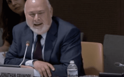 Report by UN Permanent Rep to the Holy See on Nuclear Disarmament
