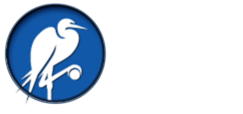 About GSI - Global Security Institute